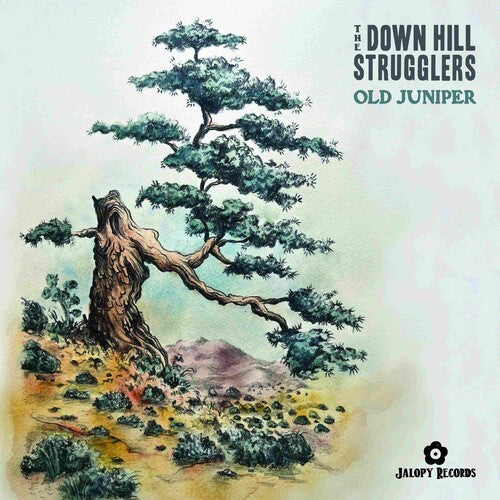 Down Hill Strugglers: Old Juniper