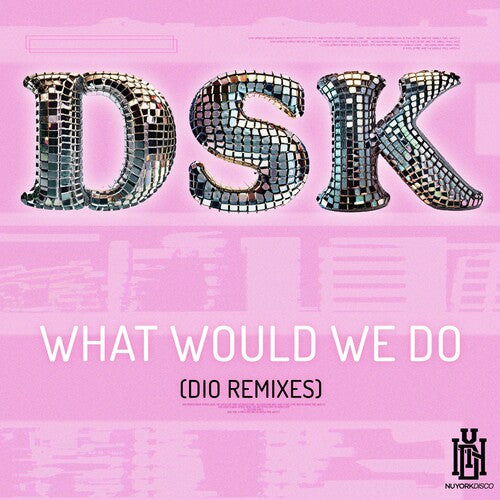 DSK: What Would We Do (DIO Remixes)