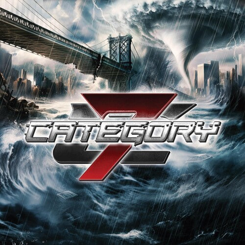 Category 7: Category 7