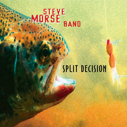 Morse, Steve Band: Split Decision