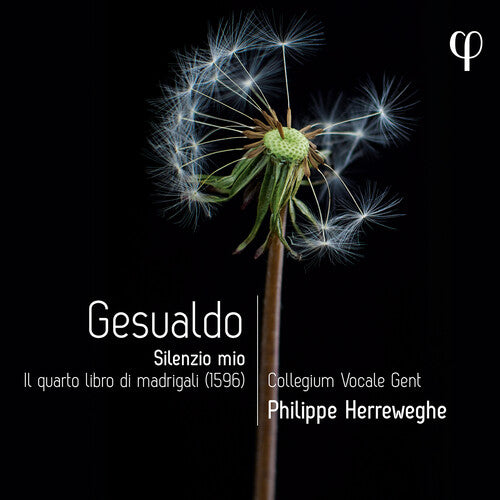 Gesualdo / Herreweghe / Nordberg: Gesualdo: Silenzio mio - Il quarto libro di madrigali