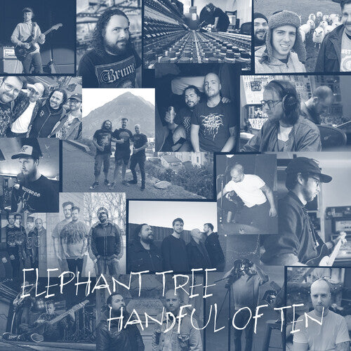 Elephant Tree: Handful of Ten