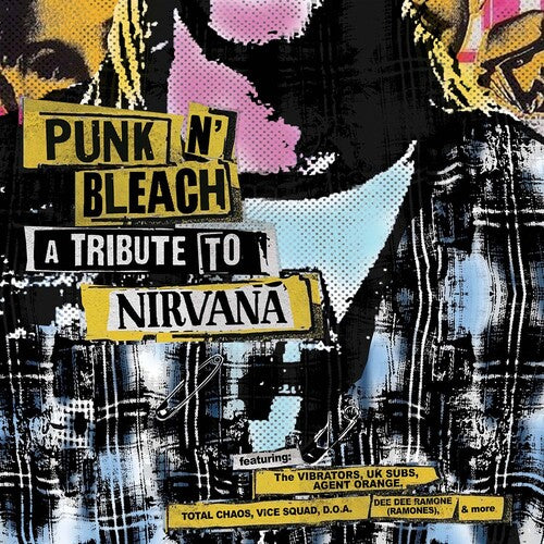 Punk N' Bleach - Punk Tribute to Nirvana / Var: Punk N' Bleach - a Punk Tribute to Nirvana (Various Artists)