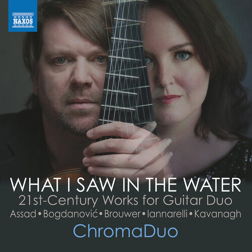 Bogdanovic / Kavanagh / Chromaduo: Assad, Bogdanovic, Brouwer, Iannarelli & Kavanagh: What I Saw in the Water