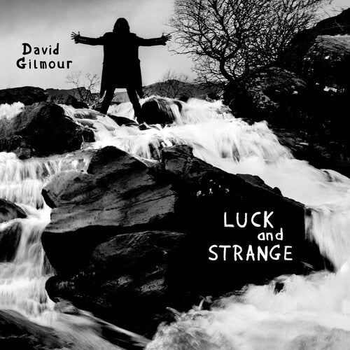 Gilmour, David: Luck And Strange