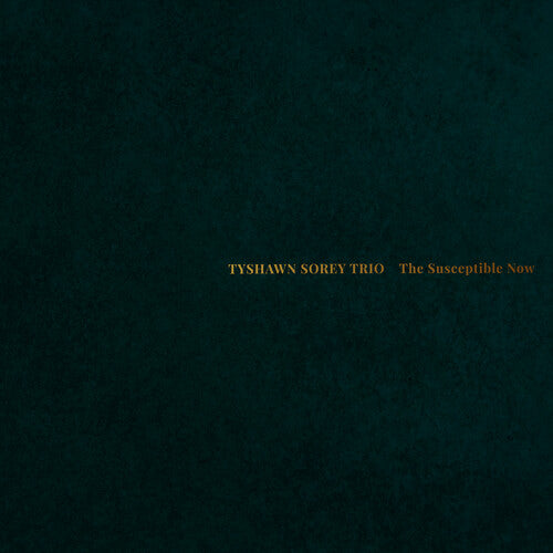 Tyshawn Sorey Trio: The Susceptible Now