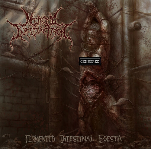 Necrotic Infibulation: Fermented Intestinal Egesta