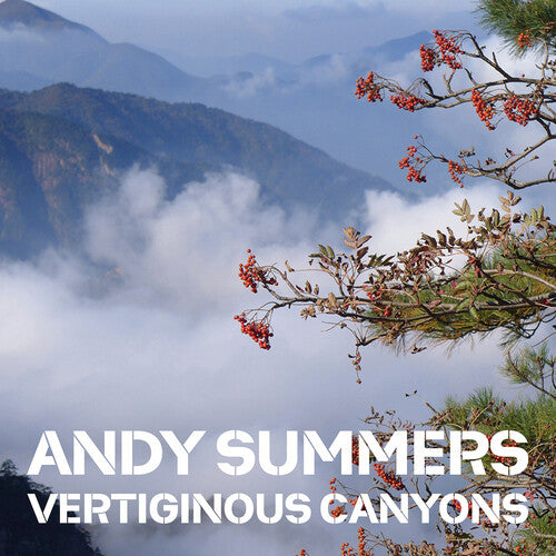 Summer, Andy: Summers: Vertiginous Canyons