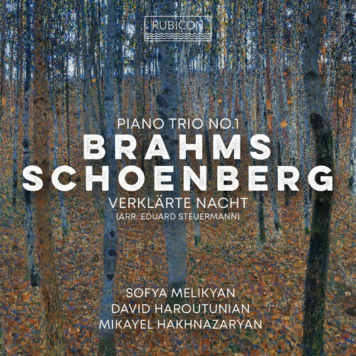 Melikyan, Sofia: Brahms: Piano Trio No.1; Schoenberg: Verklarte Nacht