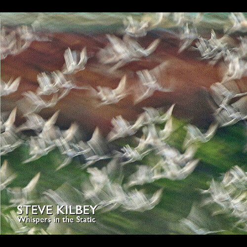 Kilbey, Steve: Whispers In The Static