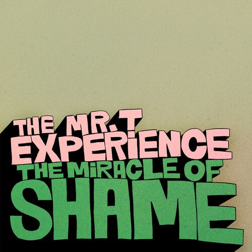 Mr T Experience: Miracle Of Shame