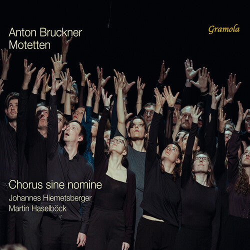 Bruckner / Haselbock / Chorus Sine Nomine: Bruckner: Motetten