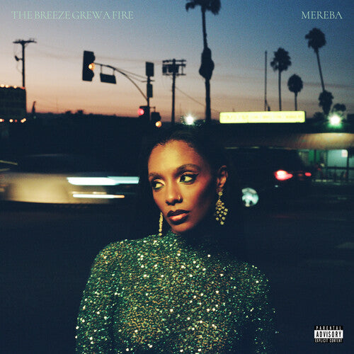 Mereba: The Breeze Grew a Fire