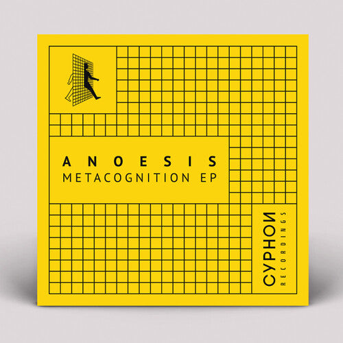 Anoesis: Metacognition