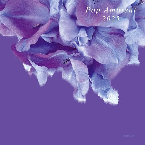 Pop Ambient 2025 / Various: Pop Ambient 2025