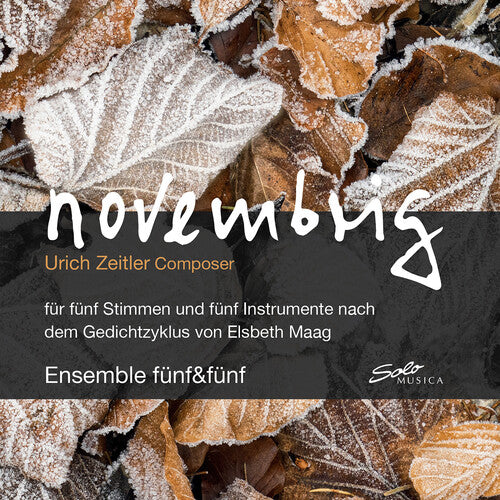 Zeitler / Gschwend / Zischg: Novembrig