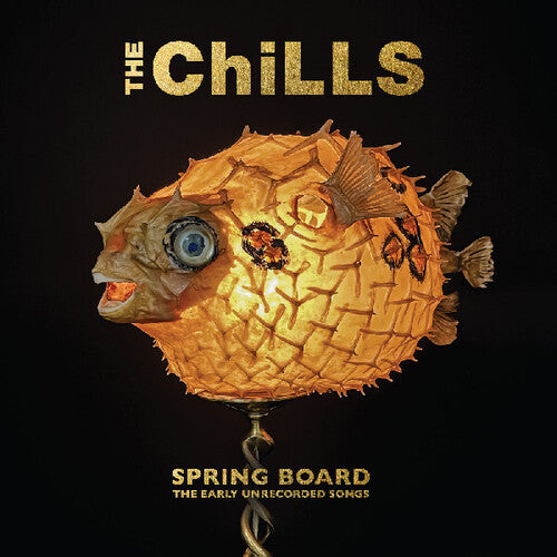 Chills: Spring Board: The Early Unrecorded Songs