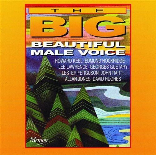 Beautiful Male Voice / Various: The Big Beautiful Male Voice