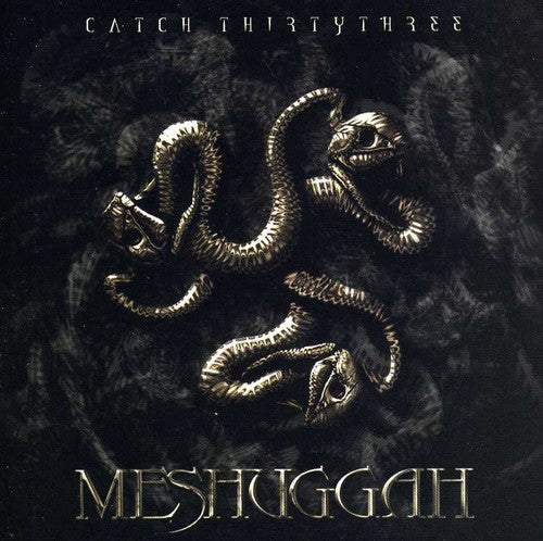 Meshuggah: Catch Thirty Three