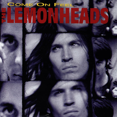Lemonheads: Come on Feel the Lemonheads