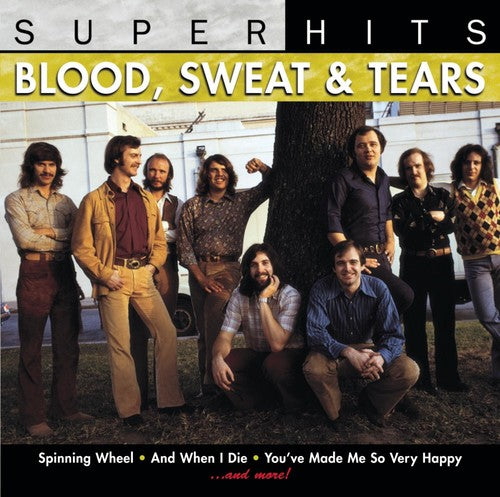 Blood Sweat & Tears: Super Hits