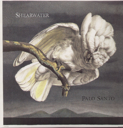 Shearwater: Palo Santo