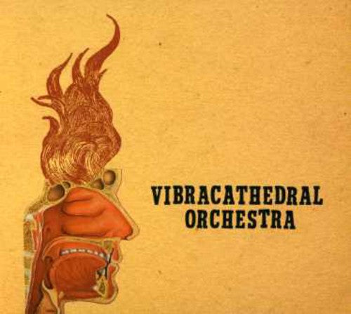 Vibracathedral Orchestra: Wisdom Thunderbolt
