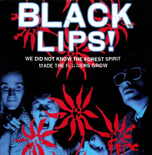 Black Lips: We Did Not Know the Forest Spirit Made the Flowers