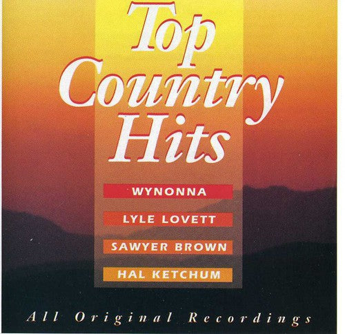 Top Country Hits / Various: Top Country Hits / Various