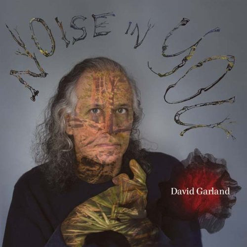 Garland, David: Noise in You