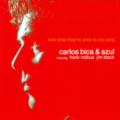 Carlos Bica's Trio Azul: Look What They've Done to My Song