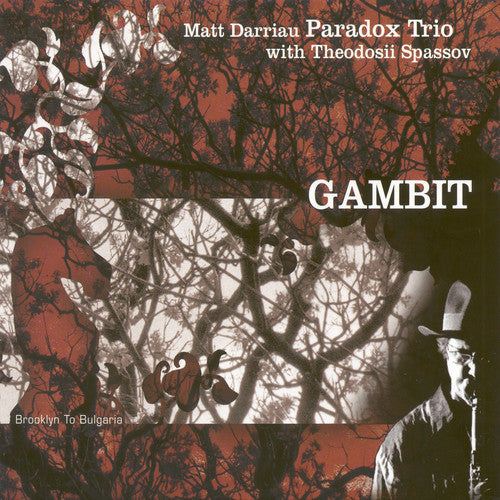 Darriau, Matt Paradox Trio: Gambit