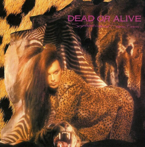 Dead or Alive: Sophisticated Boom Boom