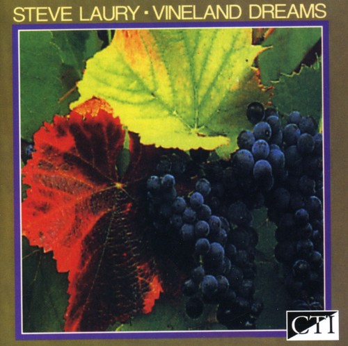 Laury, Steve: Vineland Dreams