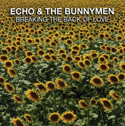 Echo & Bunnymen: Breaking The Back Of Love