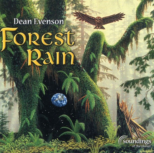 Evenson, Dean: Forest Rain