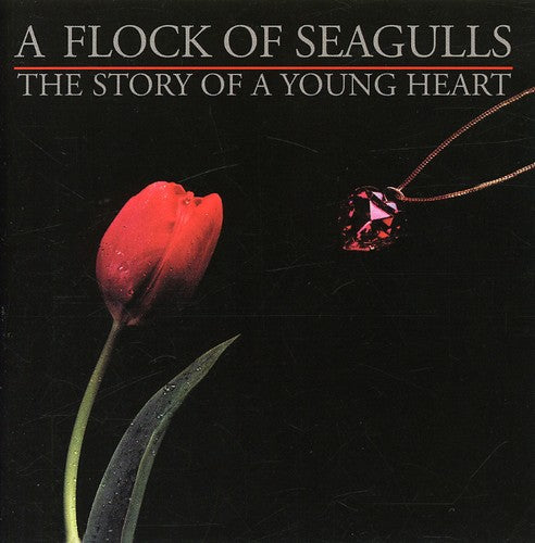 Flock of Seagulls: The Story Of A Young Heart