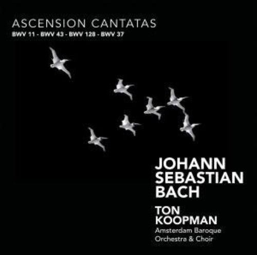 Bach, J.S. / Piau / Zomer / Rubens / Koopman: Ascension Cantatas