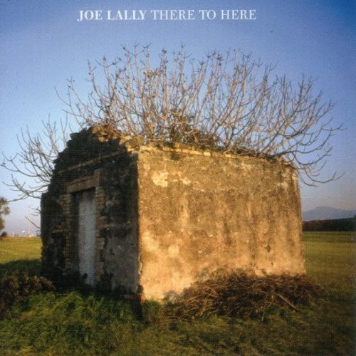 Lally, Joe: There To Here