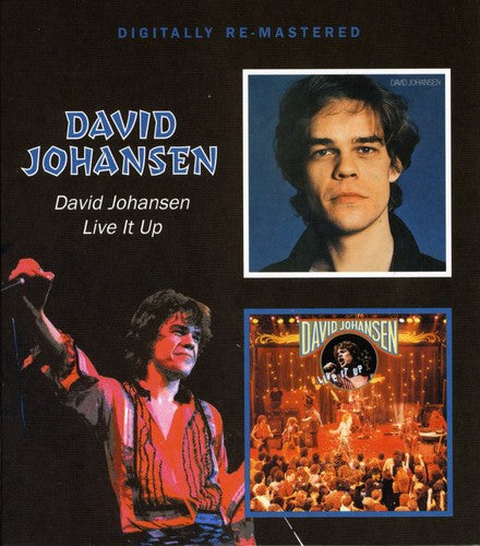 Johansen, David: David Johansen / Live It Up