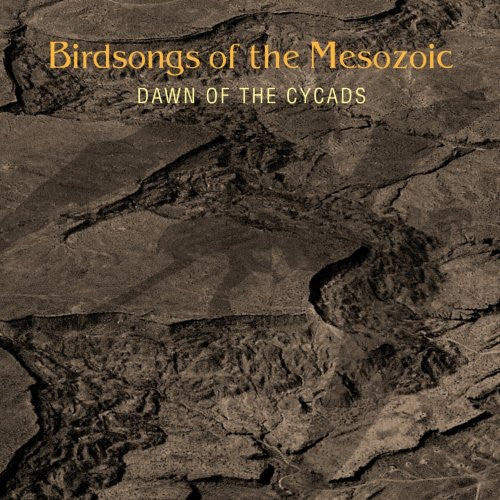 Birdsongs of the Mesozoic: Dawn of the Cycads