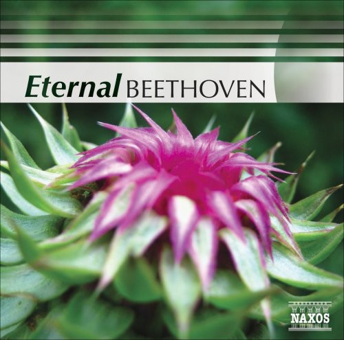 Eternal Beethoven / Various: Eternal Beethoven / Various