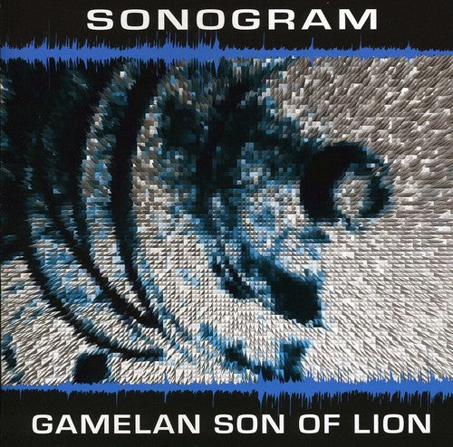 Gamelan Son of Lion: Sonogram