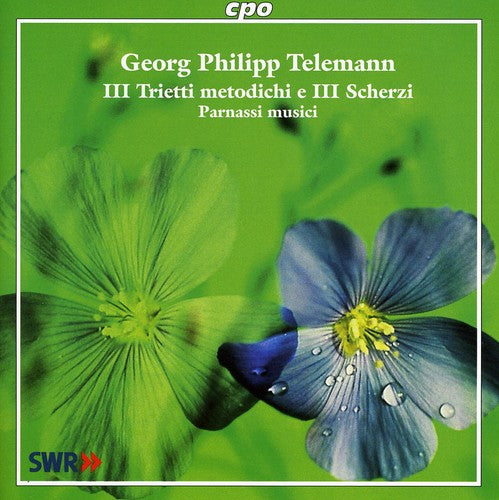 Telemann / Parnassi Musici: Ill Trietti Metodichi E Ill Scherzi