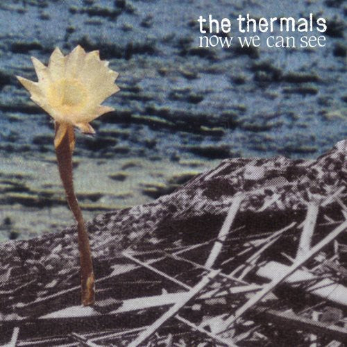 Thermals: Now We Can See