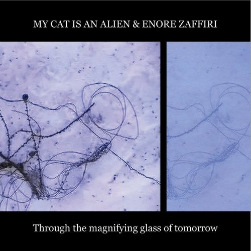 My Cat Is an Alien / Zaffiri, Enore: Through the Magnifying Glass of Tomorrow