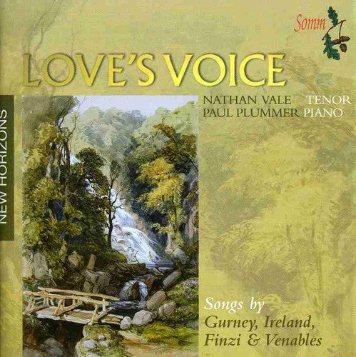 Finzi Gurney Ireland-Songs / Various: Finzi Gurney Ireland-Songs / Various