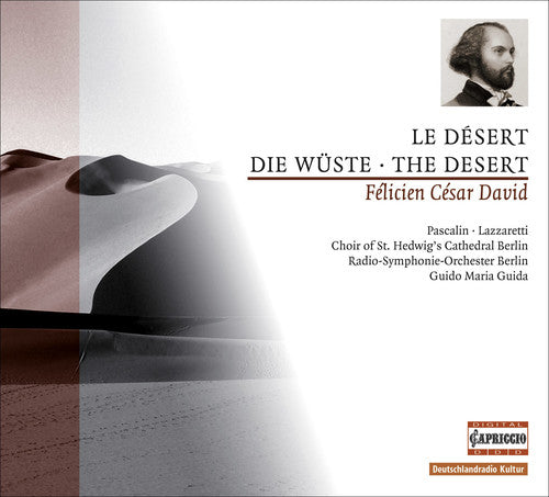 David / Pascalin / Lazzaretti / Guida / Roc Berlin: Le Desert