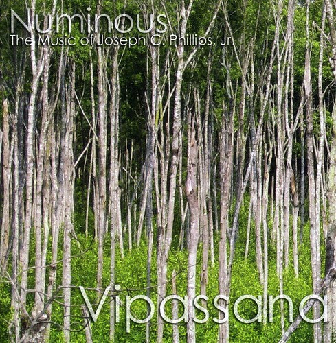 Numinous: Vipassana