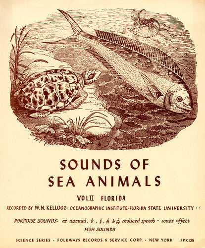 Sounds Sea Animals 2: Fl / Var: Sounds Sea Animals 2: FL / Various